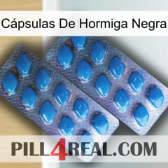 Cápsulas De Hormiga Negra viagra2